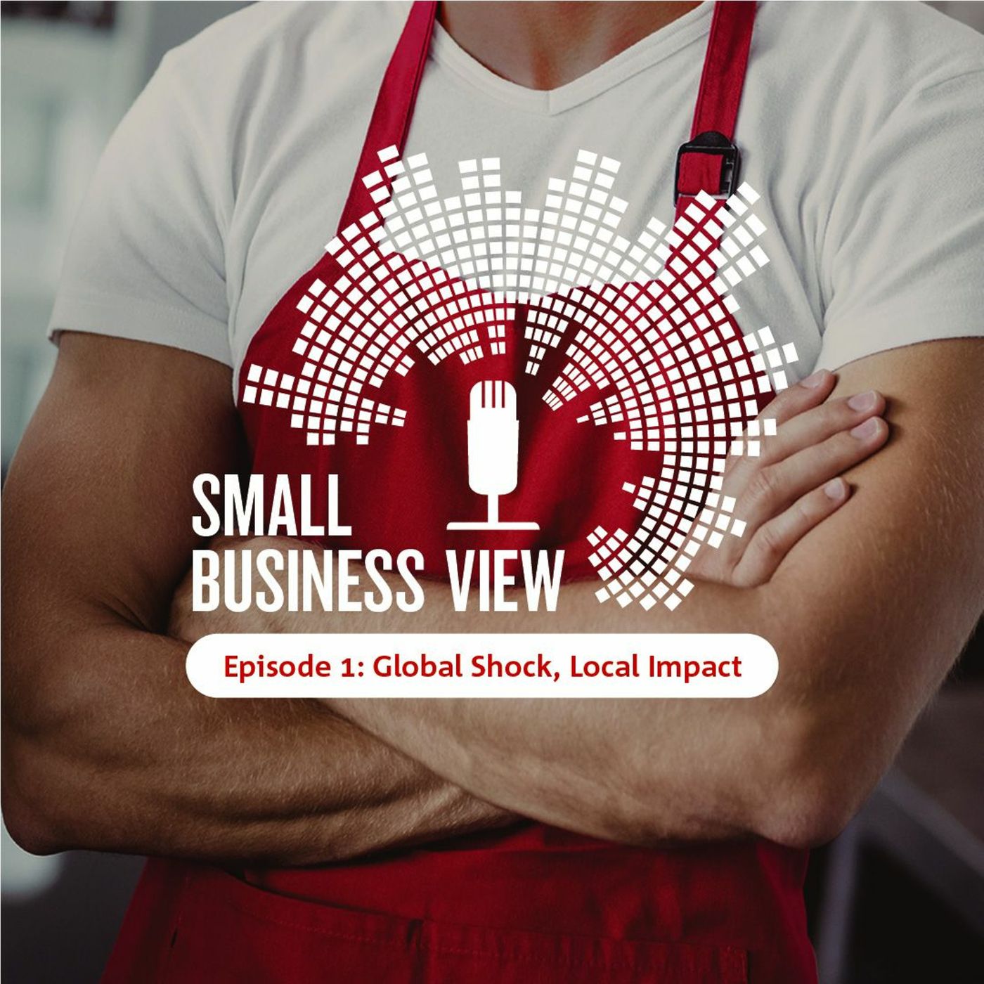 Small Business View Episode 1:Global shock, local impact