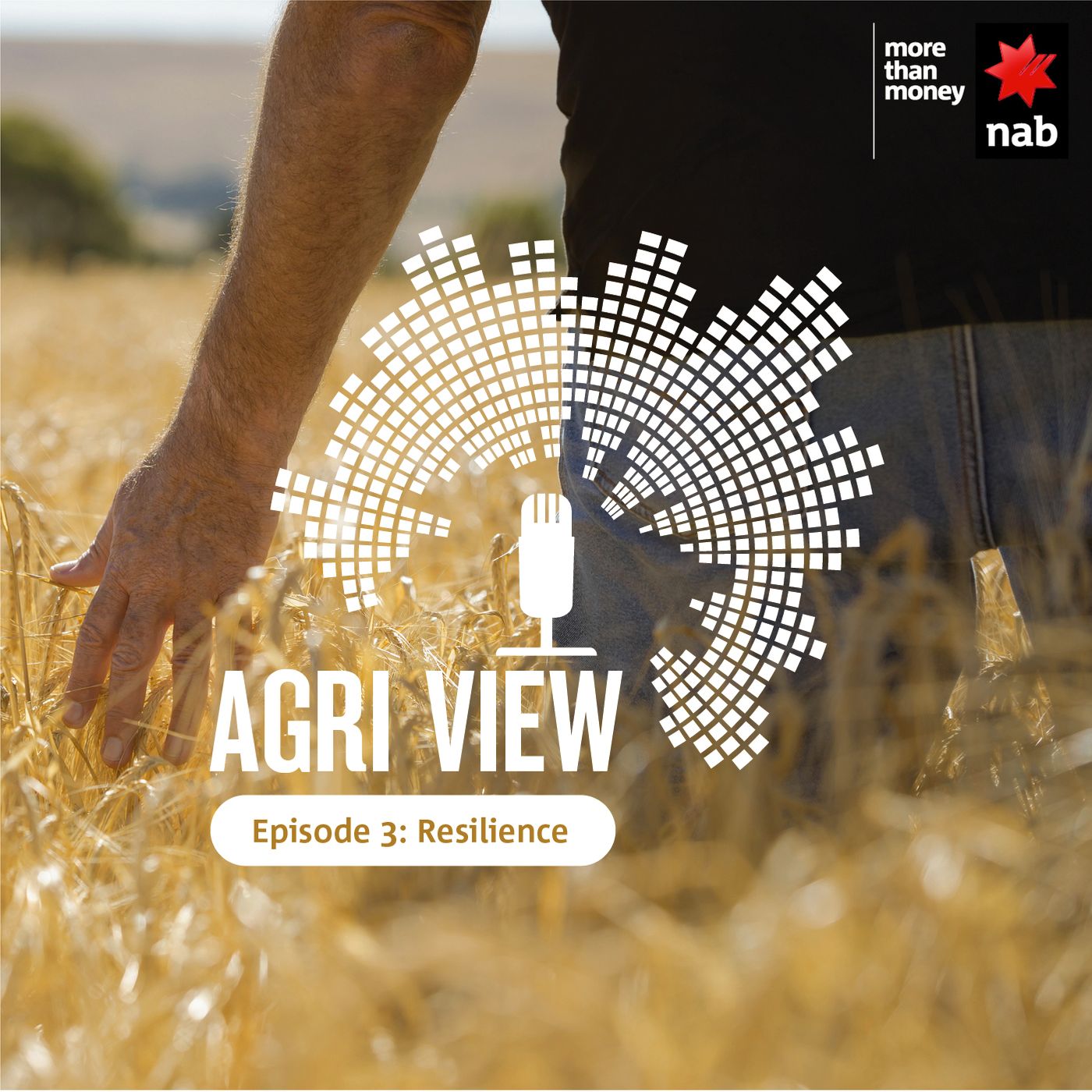 Agri View Episode 3: Resilience