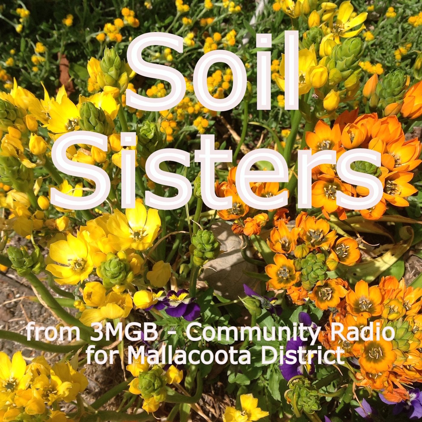 Soil Sisters:Mallacoota Genoa Broadcasting