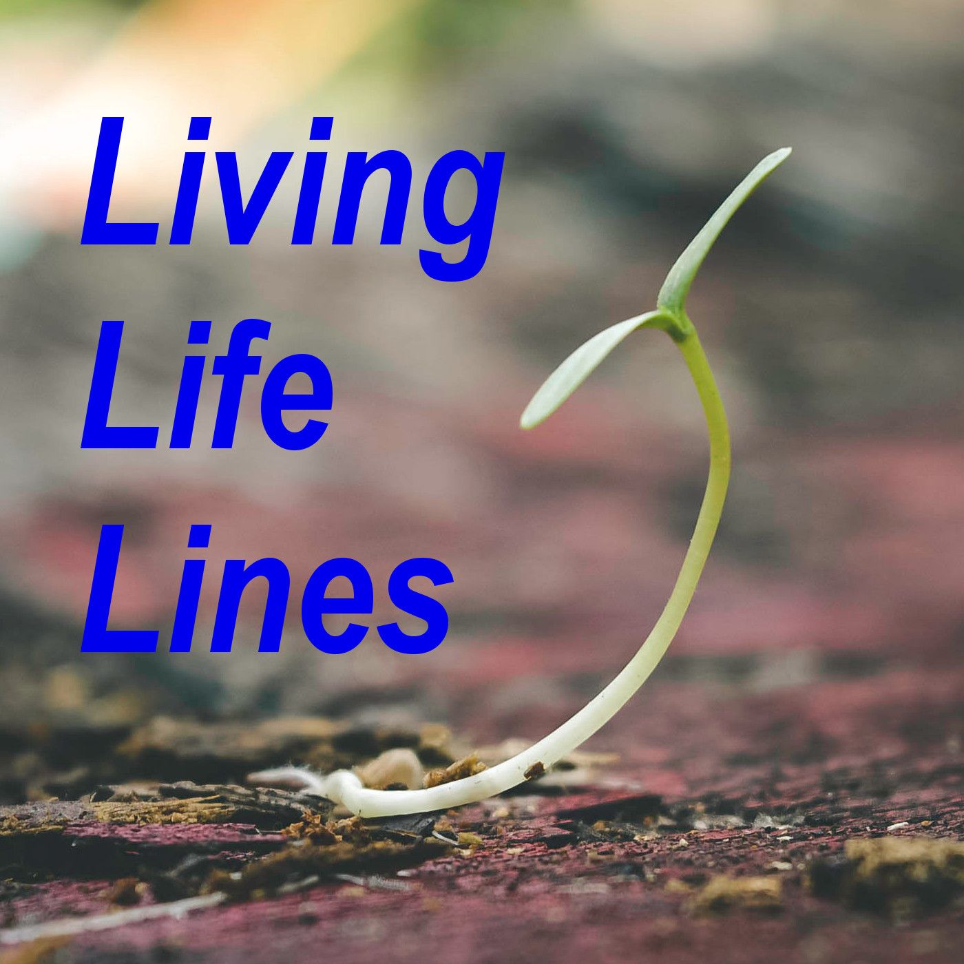 Living Life Lines